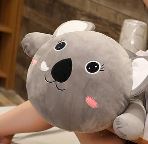 Koala géant timide xxl