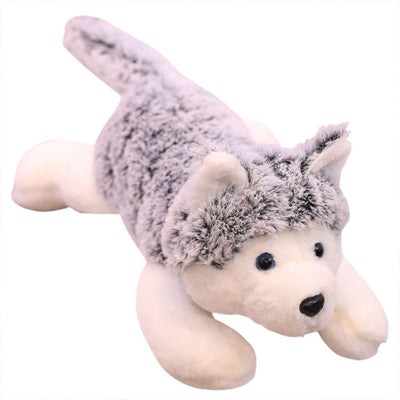 Vrai chien en peluche en forme de Husky ultra-doux