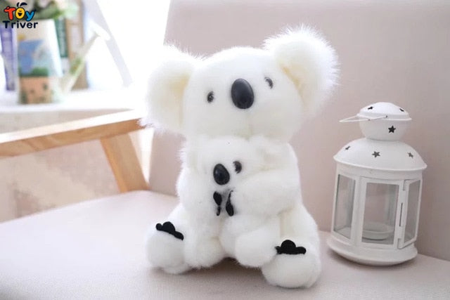 Koala en Peluche