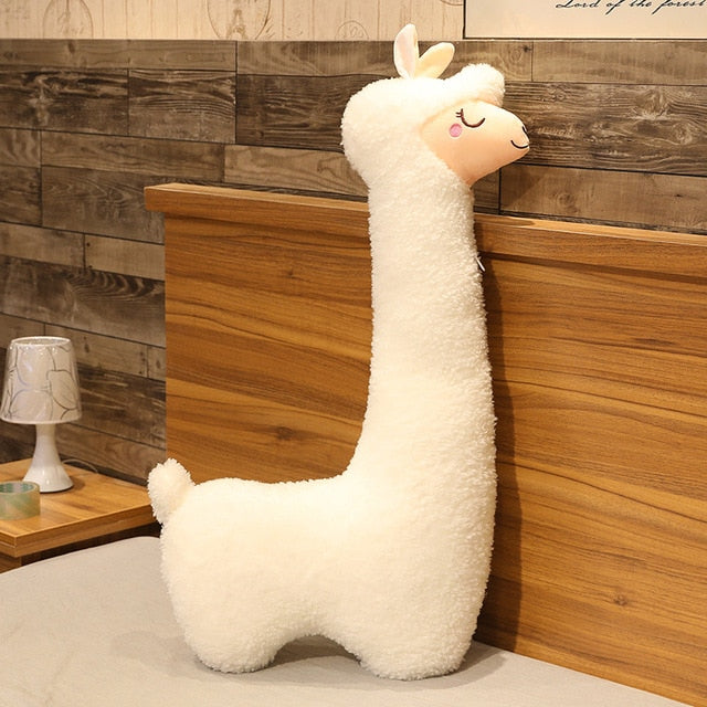 lama en peluche