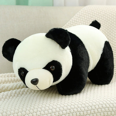 Panda en Peluche