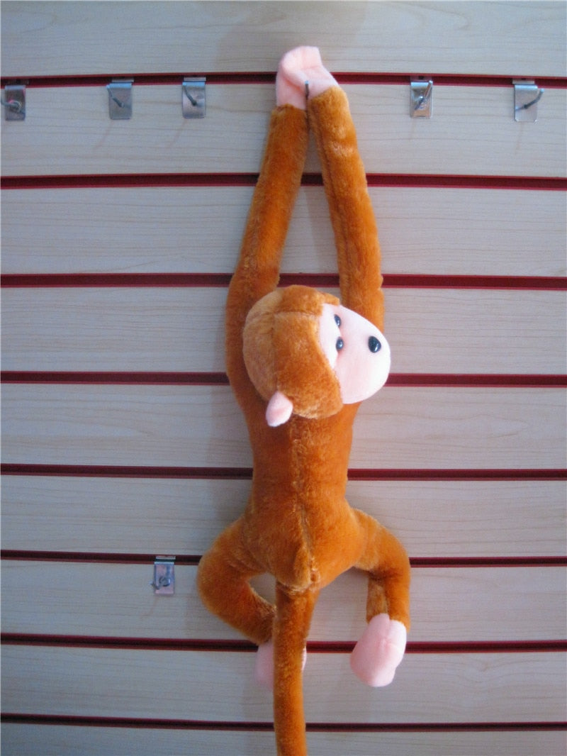 Singe câlin et marrant à longs bras