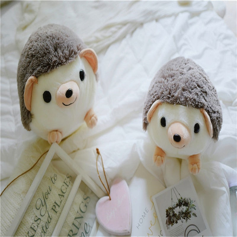 Hérisson des bois aux grands yeux noirs