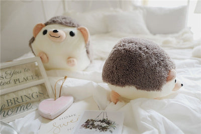 Hérisson des bois aux grands yeux noirs