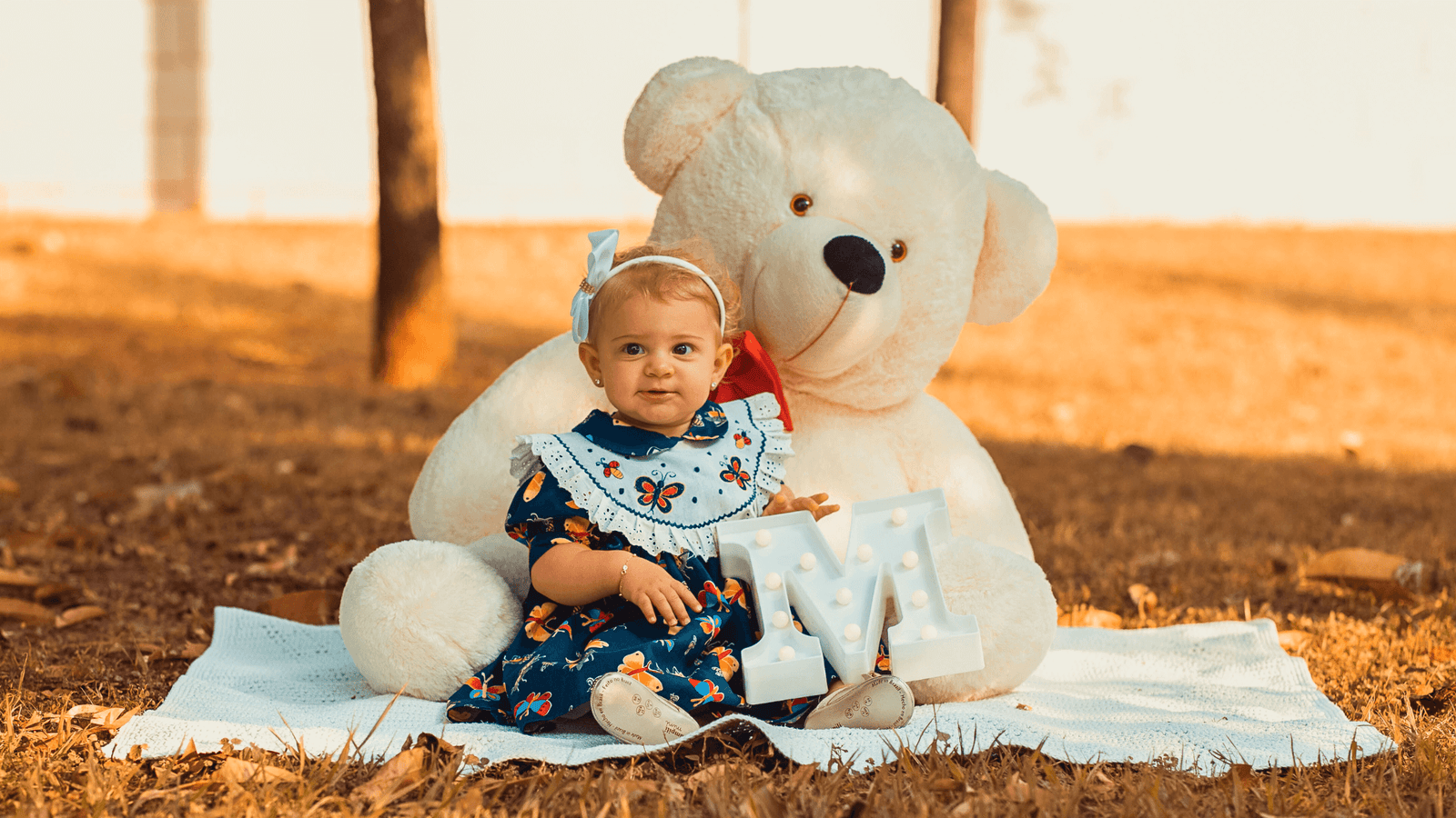 Nounours geants pour enfant et adulte