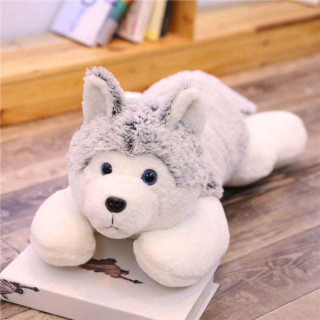 Chien Peluche Vrai
