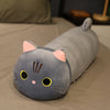 peluche chat gris