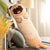 Enorme peluche chien Bouledogue