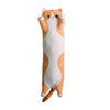 Peluche Chat Roux