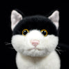 Peluche chat domestique aux gros yeux