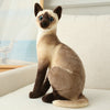 Chat en Peluche