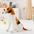 Chien de race en peluche réaliste