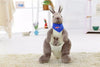 Maman kangourou en peluche pour jouet