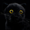 Chat noir en peluche malin aux gros yeux