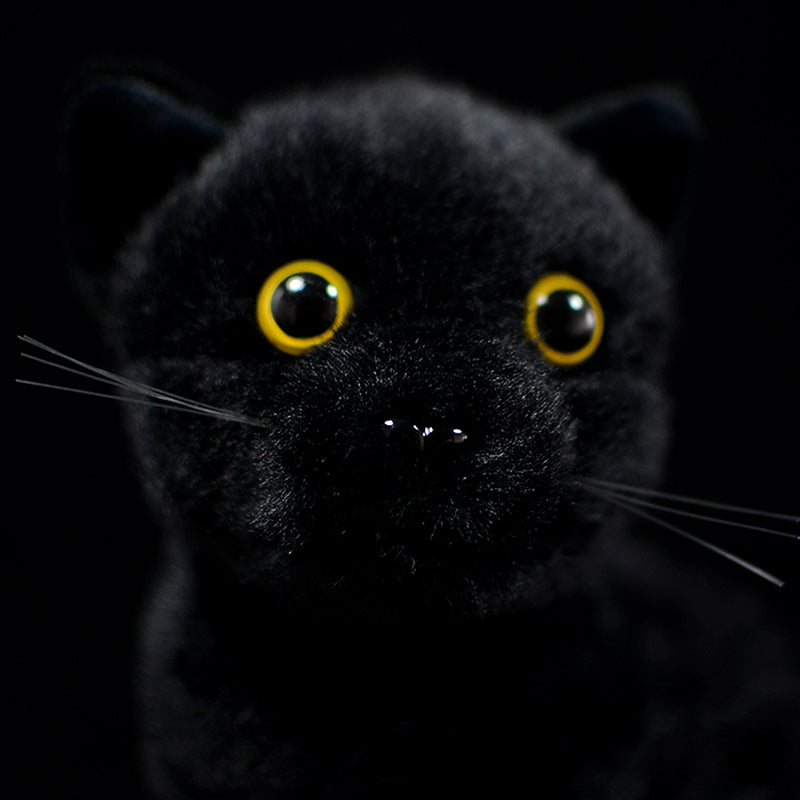 Peluche chat noir yeux jaunes - Univers Peluche