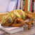 Lézards préhistorique coloré en peluche géante