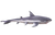 Peluche en forme de requin à câliner